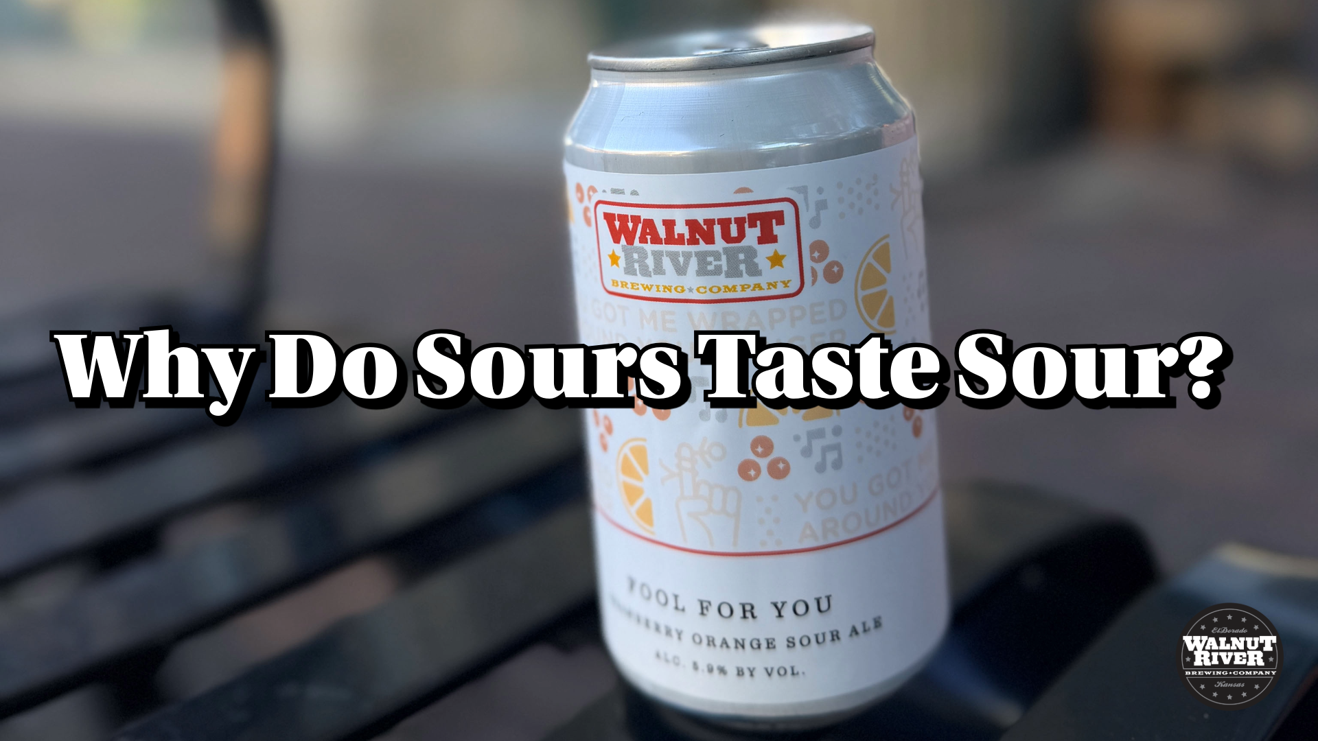 a can of Fool For Your on a park bench